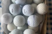 Two Dozen Golfballs. (Used)