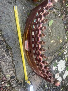 Fire front and grate