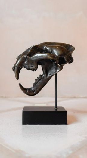 Sumatran Tiger Skull - Bronze, Metal/Wooden Stand