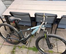 Womens movement bike