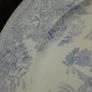 Asiatic Pheasant - Dinner Plate Image 6