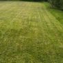Lawn care - mowing Image 3