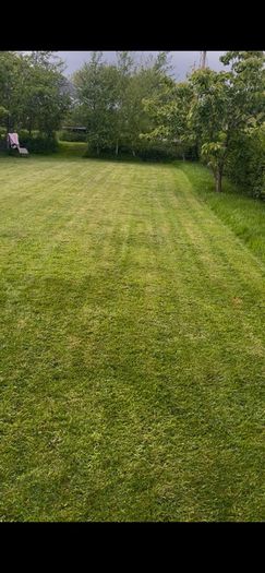 Lawn care - mowing