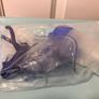 Omron nebuliser Image 7
