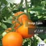 Tomato seeds Over 20 varieties Professionally packed Image 6