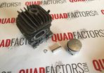 Cylinder Piston Kit 34mm Chinese Chainsaw 2500 25cc Timberpro Lawnflite Carlton