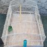 transport cage Image 2