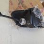 Nissan Cherry Front Corner Lamp. Image 2
