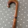 Walking Stick Image 3