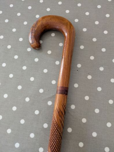 Walking Stick