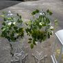 lanterns Image 4