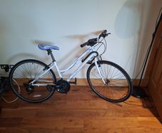 Medina Ignite 200 Hybrid Bike