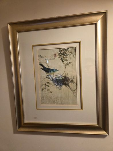 Large Framed Bird & Nature Wall Art Gold Frame