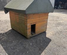 Large Dog Kennel