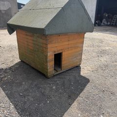 Large Dog Kennel