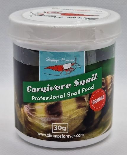 Shrimps Forever Carnivore Snail 30g - Anatome Helena (Assassin snail)