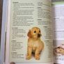 Vintage Book Puppy Training the Guide Dogs Way Image 7