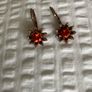 Earrings Crystal/Rose Gold Image 2