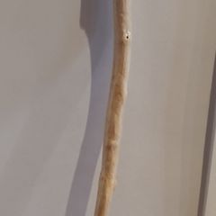 Hand Crafted Walking stick (25353)