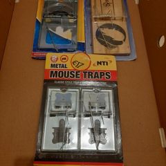 rat