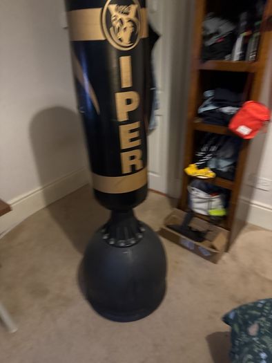 Punching Bag