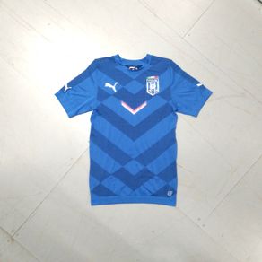 FREE POST Player Issue Italy (M) 2015 Training Jersey  Shirt  Soccer Football Calcio Italia  Puma