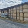 Organic hay for sale Image 2