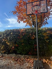 basketball hoop