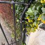 Iron Gates Image 2