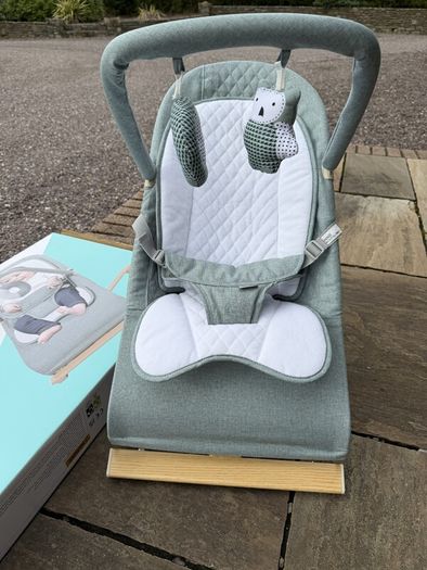 Nested Gravity Wooden Baby Bouncer Sage Green