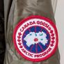 canada goose Image 2