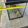 large fish tank Image 3