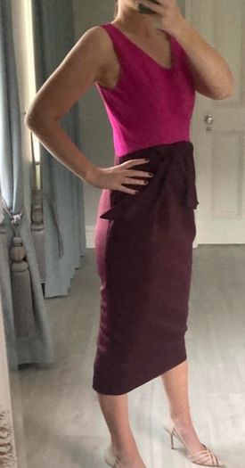 Ted Baker Size 10 Dress