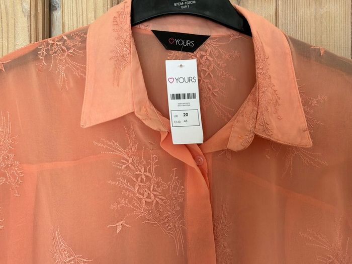 ladys blouse