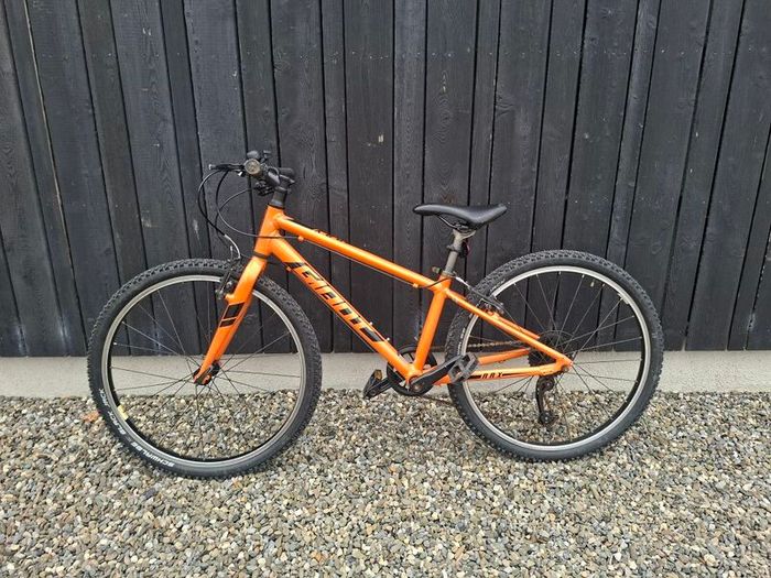 Giant ARX 24 inch kids bike