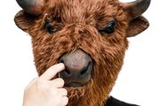 Bison Mask Animal Latex Full Head Realistic Plush Masks Fancy Dress for Halloween Carnival Costume Party Yak Buffalo Bull Mask