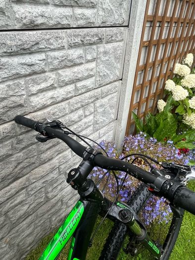 carrera 29 inch bike