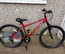 Men's mountain bike