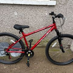 Men's mountain bike