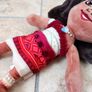 Original Disney Vaiana 2 Plush Moana 25 cm NEW Image 2