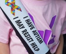 seat belt covers