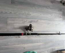 fishing rod and reel