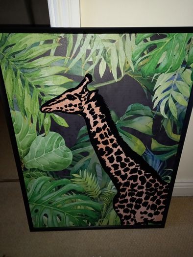 Pictures zebra , giraffe