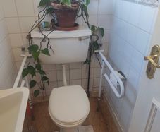 Grab rails for toilet