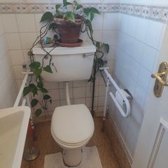 Grab rails for toilet