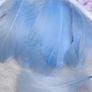 Goose Feathers Image 5