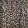 H&M Blouse Size S Image 4