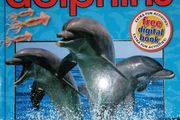 New Dolphins Hardback Book "Discover More" Book