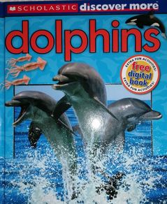 New Dolphins Hardback Book "Discover More" Book