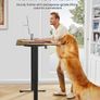 Standing Desk 120cm x 60cm Image 6